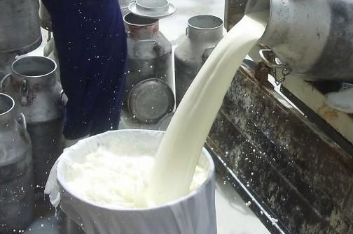 milk-processing-plant-opens-by-june
