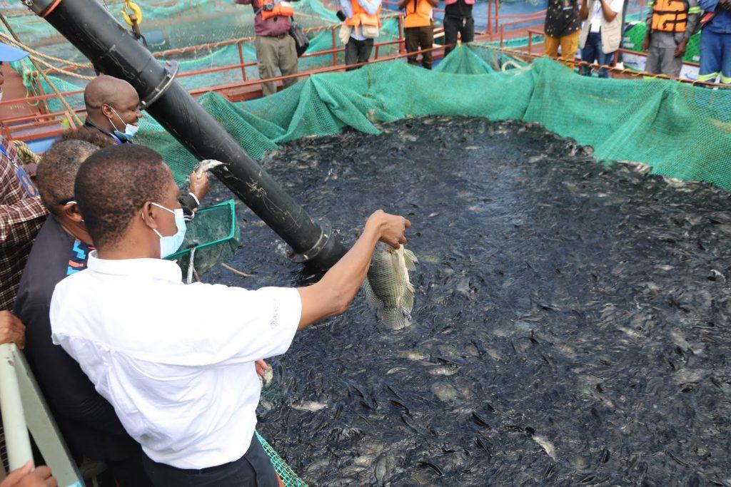 zambians-trained-in-aquaculture-production