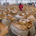 tobacco-farmers-from-eastern-and-central-provinces-still-stranded-in-lusaka