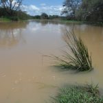 two-more-die-in-southern-province-floods