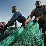 wto-to-establish-fish-fisheries-fund