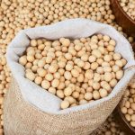 tanzania-to-import-1-million-tonnes-of-soya-beans