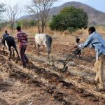 savenda-to-support-small-scale-farmers