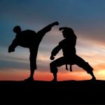 mixed-martial-arts-league-launched