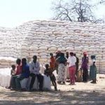 kabompo-farmers-set-for-farmers’-marketing-season