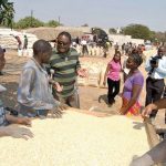 fra-buys-52,000-mt-of-maize-from-luapula