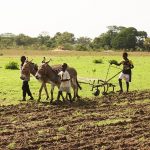 kalulushi-farmers-want-faster-input-distribution