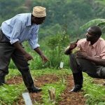 govt-to-employ-more-agriculture-extension-officers