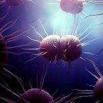 drug-resistant-gonorrhoea-strain-detected-in-nairobi
