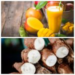 mangoes-and-cassava-should-not-go-to-waste-–-mubanga