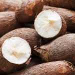 chief-kaputa-concerned-with-cassava-disease