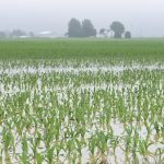 fisp-farmers-to-be-compensated-for-crop-failure-due-to-floods