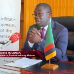 govt-launches-pre-feasibility-study-for-electric-car-battery-project