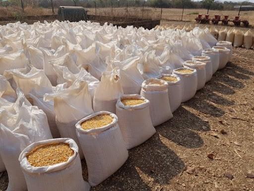 znfu-happy-with-fra-maize-buying-price