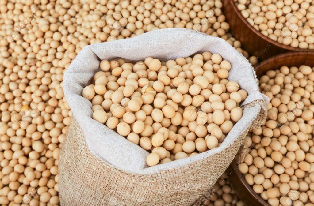 govt-asks-india-to-by-zambian-soya-beans