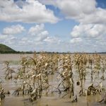 zambia-to-benefit-from-$4m-climate-change-funding