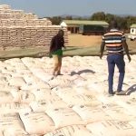 over-k26m-paid-to-mafinga-farmers