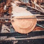 over-50,-000-jobs-in-jeopardy-within-timber-industry