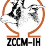zccm-ih-records-profits