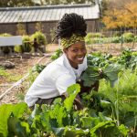 chief-chisunka-urges-youth-to-embrace-farming