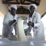 zambia-dairy-transformative-project-comes-to-an-end