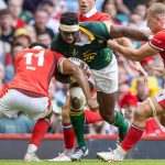 wales-to-face-world-champions-south-africa-at-twickenham-in-june