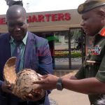 zambia-army-hands-over-pangolin-to-dnpw