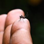 11m-malaria-cases-recorded-in-2023