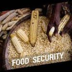 govt-assures-chiefs-of-food-security