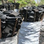 “ban-charcoal-production”