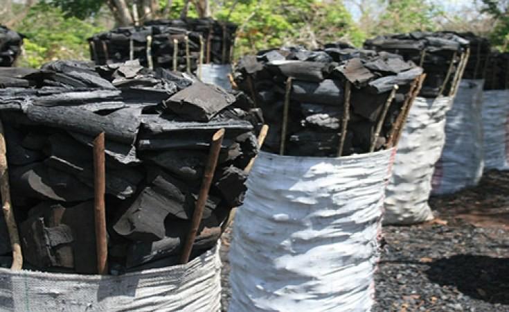 “ban-charcoal-production”
