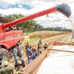 over-6,000-metric-tonnes-of-early-maize-delivered-to-fra